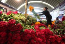 Comerciantes venden flores de cempasúchil previo a las festividades por el Día de Muertos (2)