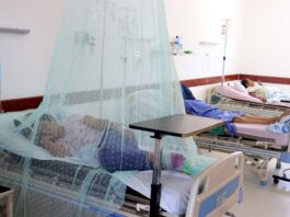 El Ministerio de Salud Pública de la República Dominicana confirmó este miércoles 13 muertes por dengue en lo que va de año
