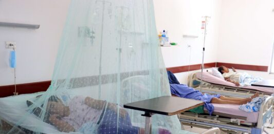 El Ministerio de Salud Pública de la República Dominicana confirmó este miércoles 13 muertes por dengue en lo que va de año