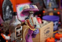 Aduanas alerta sobre plantas procedentes de México prohibidas en Día de Muertos La Oficina de Aduanas y Protección Fronteriza (CBP) advirtió este martes al público viajero sobre las flores y plantas cuyo ingreso al país está prohibido en la celebración del Día de Muertos y las fiestas de fin de año.