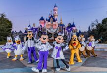 Disney World ilumina la Navidad con la Rana René, Bella o el castillo de Cenicienta Walt Disney World Resort celebrará las fiestas navideñas a partir del próximo 11 de noviembre con el evento Disney Jollywood Nights.