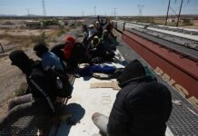 México intercepta a más de 27.000 indocumentados en trenes en menos de un mes Las autoridades mexicanas rescataron, auxiliaron y disuadieron a más de 27.000 migrantes para bajar de los trenes de carga que suelen utilizar para llegar a Estados Unidos entre septiembre y octubre, según informó este viernes el Instituto Nacional de Migración (INM).
