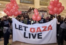 Jewish Voice for Peace