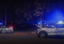 La policía de Detroit investiga el asesinato hoy de la presidenta de la junta de directores de la sinagoga de esa ciudad, Samantha Woll, que fue apuñalada múltiples veces y encontrada muerta fuera de su casa.