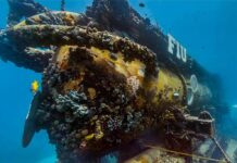 La Guardia Costera encuentra posibles restos humanos del Titán La Guardia Costera de Estados Unidos ha encontrado más restos del sumergible Titán, entre ellos posibles restos humanos, dentro de la investigación que se está llevando a cabo para descubrir por qué se produjo la tragedia que acabó con la vida de cinco personas que visitaban el Titanic bajo el océano.