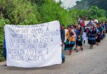 ONG e indígenas protestan por la violencia hacia menores en el sur de México Un grupo de indígenas desplazados se manifiesta hoy, en Chenalhó (1)