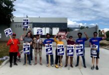 United Auto Workers4