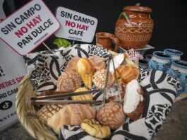campesinos y productores internacionales lanzaron este lunes #PorNuestroCampo (2)