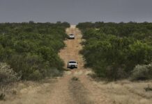 Migrante muere tras ser abandonada en el desierto de Nuevo México por coyotes patrulla fronteriza