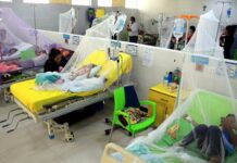 Costa Rica registra 18.194 casos de dengue hasta finales de octubre, el triple que en 2022 La entidad también pidió a la población que colabore con los funcionarios del Ministerio de Salud en el momento que visitan los hogares.