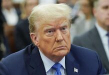Trump admite que "miraba" las declaraciones financieras de su empresa Donald J. Trump
