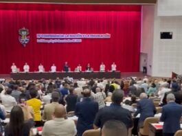 En términos generales, la conferencia se entiende desde el Gobierno cubano como un mecanismo para conducir el diálogo con los cubanos en el exterior y como un símbolo de la continuidad de este intercambio.
