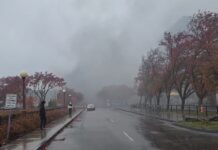 Explosión de vehículo obliga al cierre del puente del Niágara que conecta a EE.UU. y Canadá Se desconocen hasta el momento las intenciones del chofer del vehículo o si la explosión fue provocada o accidental.
