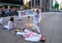 Gaza y el cambio climático se cuelan en el desfile de Acción de Gracias de Nueva York La protesta pareció sorprender a todos e incluso a la misma policía, ya que se produjo pese a unas medidas de seguridad reforzadas por el conflicto entre Israel y Hamás.