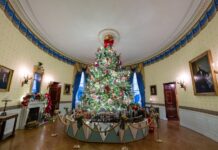 La Casa Blanca se viste de magia y alegría infantil para la Navidad en un año convulso En un acto público, la primera dama, Jill Biden, será la encargada de inaugurar la temporada navideña.