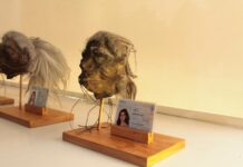 Tzantza, premier mundial en Nueva York La película Tzantza, una historia de ficción basada en una amplia investigación de campo realizada en Ecuador sobre casos reales, fue dirigida por Amilcar Jácome y producida por Eulalia del Pozo y Joseph Albán.
