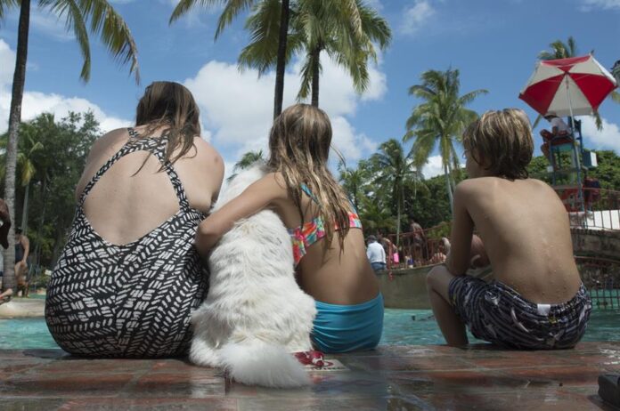 Un grupo de personas se bañan con sus mascotas familia