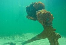 Hallan el ancla de un barco de vapor que naufragó en 1906 en Florida con 100 personas
