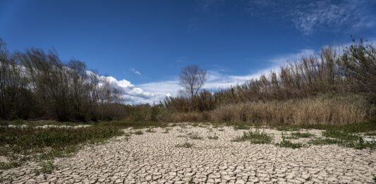 Desde el jueves 30, cerca de 200 países retomarán en Dubái las discusiones sobre cómo evitar que el aumento de la temperatura global supere en 2100 el 1,5 ºC por encima de los niveles preindustriales.