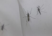 En general, en Puerto Rico se han reportado desde la primera semana a la 49, un total de 1.083 casos.