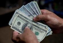 República Dominicana ha recibido este año 9.212 millones de dólares en remesas El país recibió en noviembre 788 millones de dólares por este concepto, una leve subida de 0,1 % respecto a noviembre de 2022.