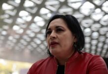 'Hijos del neoliberalismo' retrata cómo "privatización fue sinónimo de saqueo" en México La periodista mexicana Ana Lilia Pérez