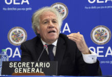 La OEA se erige en garante de la alternancia democrática en Guatemala La OEA ha encomendado a Luis Almagro, que solicite "con urgencia" el consentimiento del Gobierno de Guatemala para recibir una visita de buenos oficios del Consejo "cuanto antes", en lo que supone una invocación explícita del artículo 18 de la Carta Democrática Interamericana.