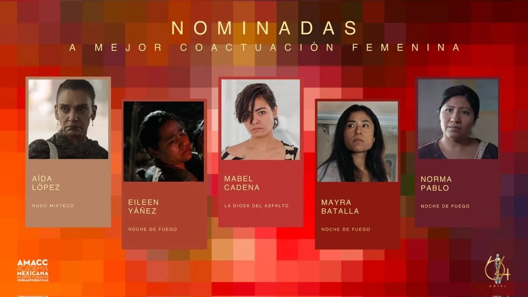 Batalla ha ganado y sido nominada en los Premios Ariel para Mejor Coactuación Femenina.