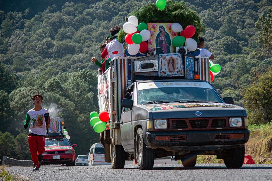 Peregrinos guadalupanos arriban al pie del &aacute;rbol sagrado de los ind&iacute;genas maya (1)