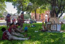 Indígenas rezan en honor a la Virgen María debajo de árboles sagrados en el sur de México Peregrinos guadalupanos arriban al pie del árbol sagrado de los indígenas maya (3)