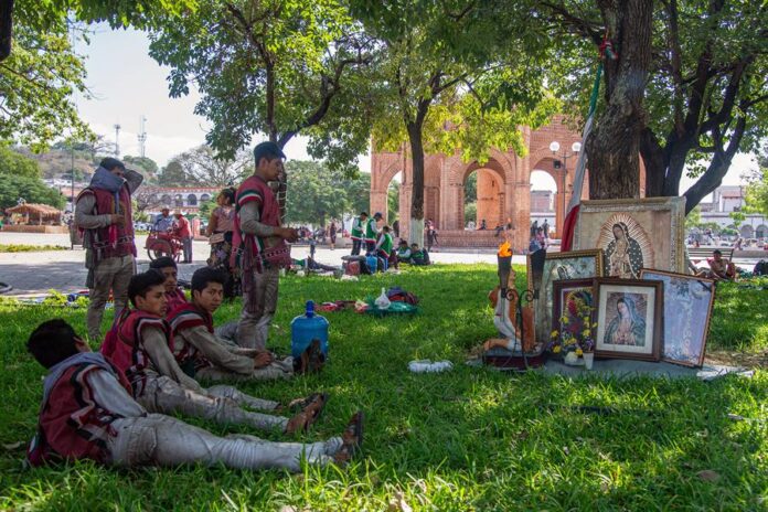 Peregrinos guadalupanos arriban al pie del árbol sagrado de los indígenas maya (3)