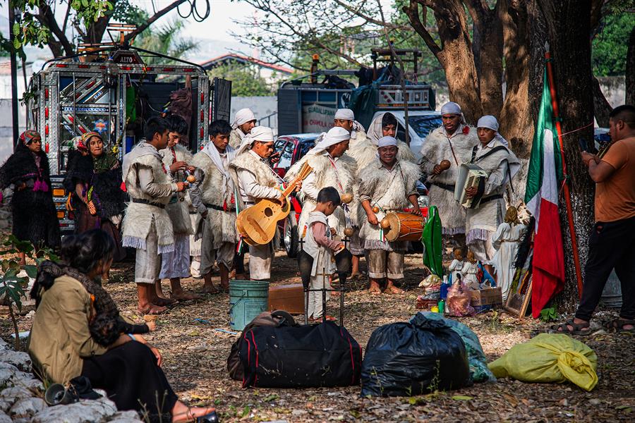 Peregrinos guadalupanos arriban al pie del &aacute;rbol sagrado de los ind&iacute;genas maya (4)