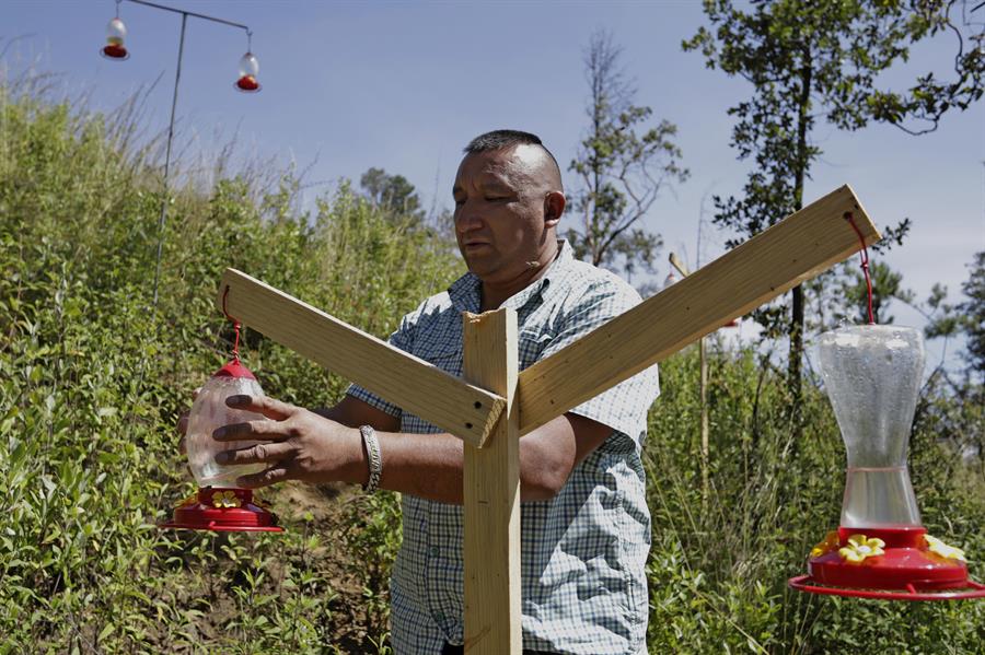 Ángel Díaz, creador de la Fundación Picnic Colibrí, instala bebedores para estas aves al interior del ‘Santuario del colibrí’.