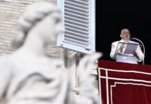 papa Francisco