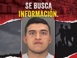 se busca información