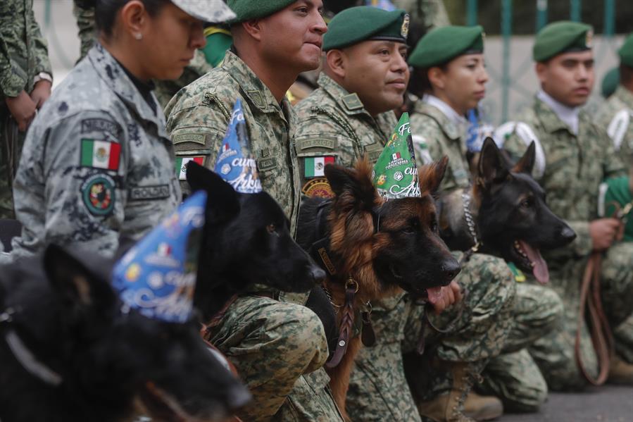 Arkadas, un perro pastor alemán donado por Turquía a México, (1)