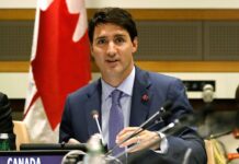 Canadá anuncia que se prepara para una posible segunda presidencia de Donald Trump El primer ministro canadiense señaló que siempre que se realizan elecciones en Estados Unidos se generan "desafíos" por lo que Canadá "va a estar lista.