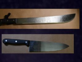 El 26 de diciembre pasado, un agente de la Policía del Capitolio observó que el venezolano se comportaba de manera extraña y, tras una conversación entre ambos, notó que además del machete y un cuchillo tenía también un ladrillo, según el informe policial.
