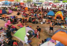 Migrantes