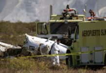 Cuatro muertos por el desplome de una avioneta en el norte de México Personal forense y de rescate labora en la zona donde se estrelló una avioneta (3)