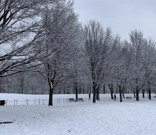 Tormenta de nieve