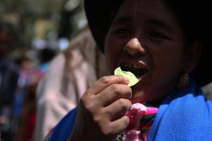 Una mujer mastica hoja de coca durante un evento por la conmemoración del Día Nacional del Acullico