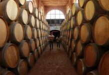 El Consejo del Tequila de México estima una exportación de 420 millones de litros en 2023
