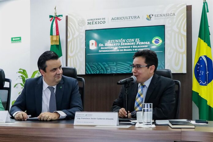 director en jefe del Servicio Nacional de Sanidad, Inocuidad y Calidad Agroalimentaria (Senasica), Francisco Javier Calderón Elizalde