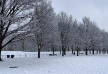 Tormenta de nieve