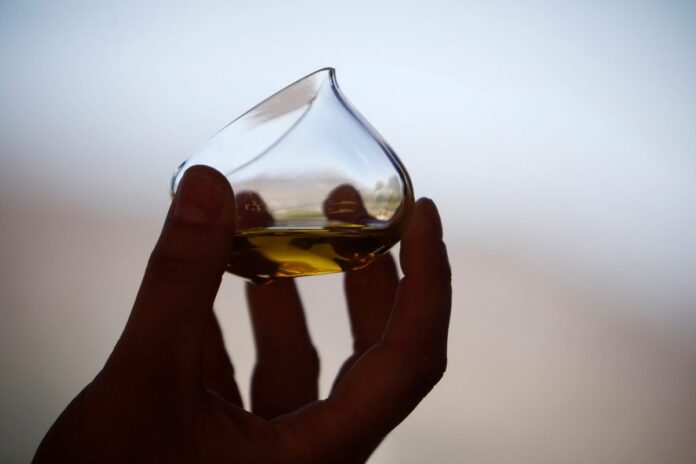 Durante la sesión, los participantes recibieron un equipamiento especial que incluía un tapete de yoga, una camiseta, una botella deportiva con un zumo suplementado con aceite de oliva virgen extra y un sombrero protector para el sol.