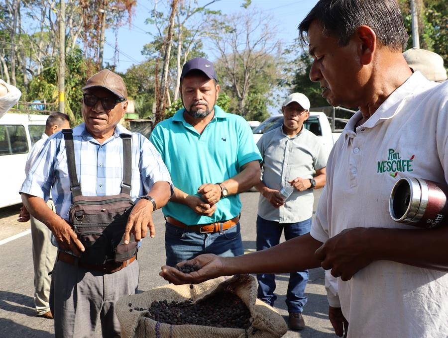 Cafetaleros bloquean una v&iacute;a durante una manifestaci&oacute;n este jueves en Tapachula