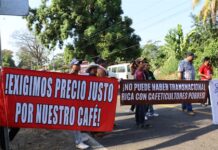 Cafetaleros sostiene carteles de protesta durante una manifestación