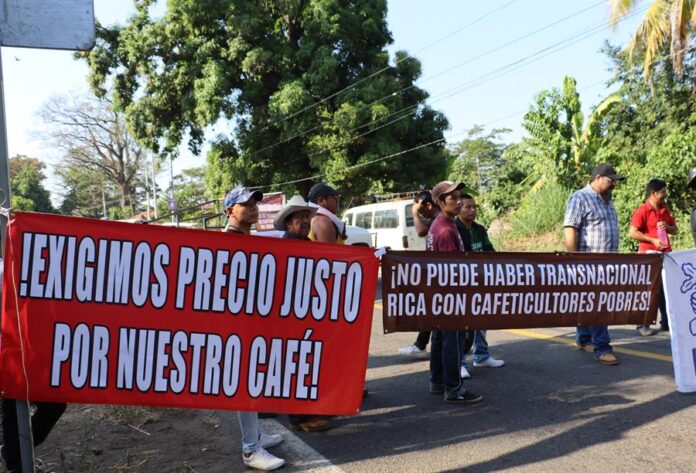 Cafetaleros sostiene carteles de protesta durante una manifestación