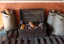 El San Valentín más caro: los precios del cacao alcanzan máximos por el impacto del clima Los altos precios han afectado también a las finanzas de las principales compañías chocolateras del país, como Hershey.